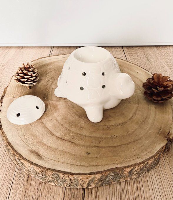 Brûle-parfum Tortue