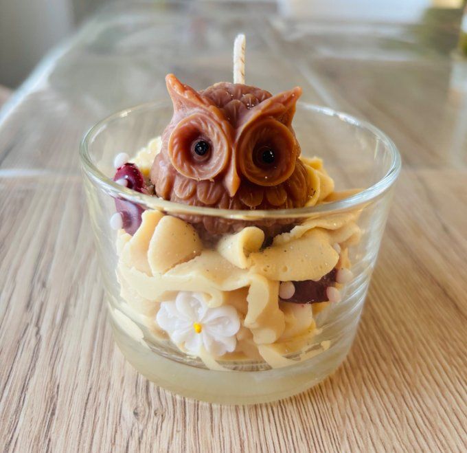 Bougie Hibou Aloe Vera