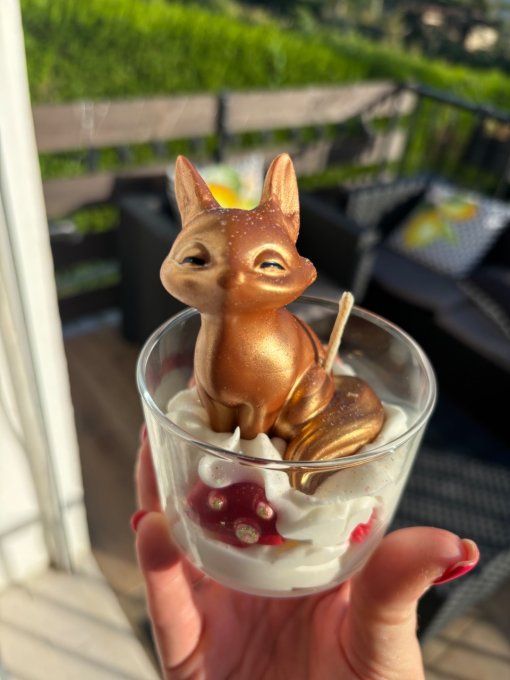 Bougie Renard