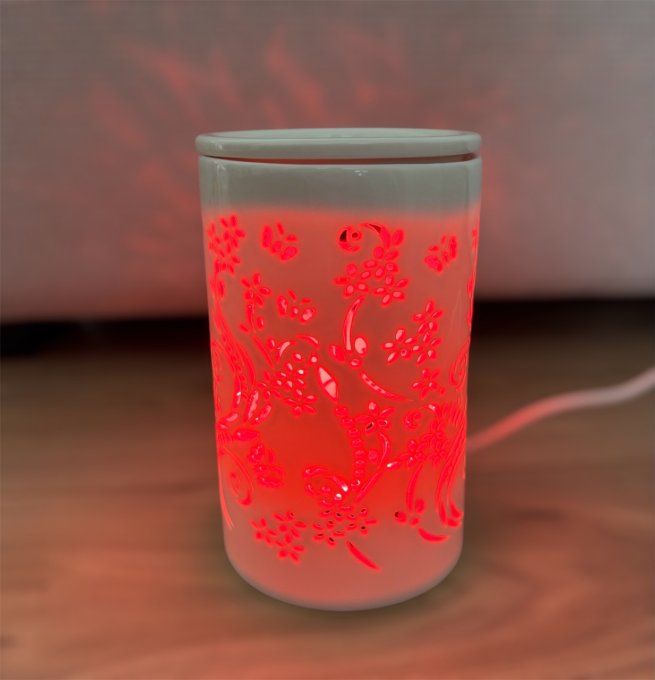 Diffuseur électrique chaleur douce