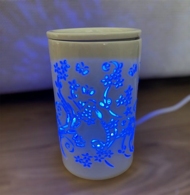 Diffuseur électrique chaleur douce
