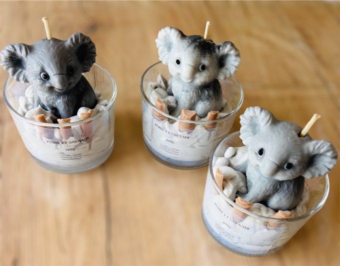 Bougie Koala
