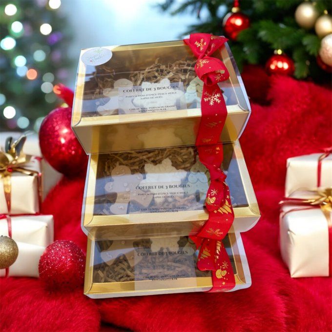 Coffret 3 bougies moulées 
